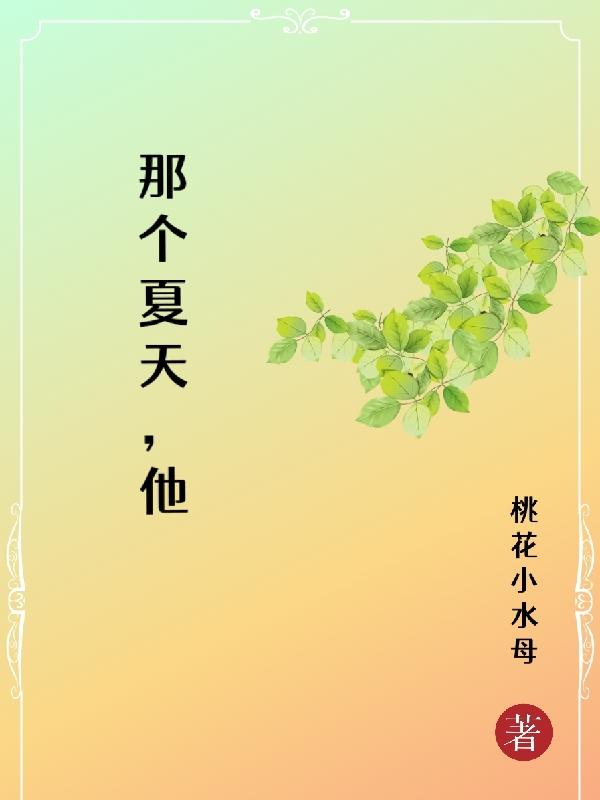 那个夏天 小说