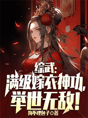 综武满级嫁衣神功举世无敌