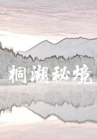 桐湖湿地公园简介