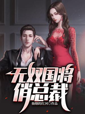 无双将军小说