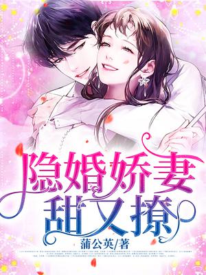 隐婚娇妻太惹火完结版