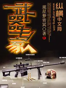 武器专家攻略