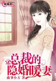 总裁的隐婚暖妻