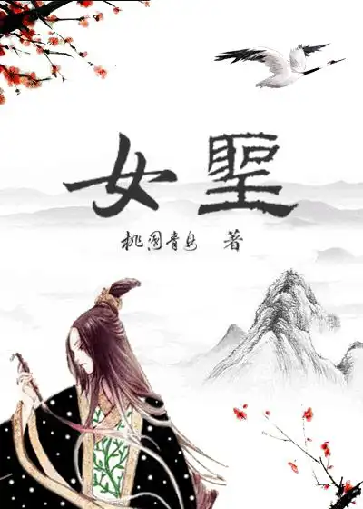 女圣骑士加点