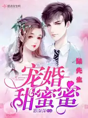 婚情甜蜜蜜陆青城