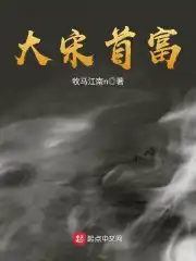 大宋奇案