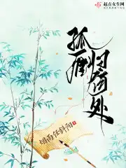 孤雁归何处