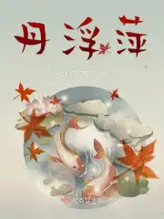 红毛丹浮萍