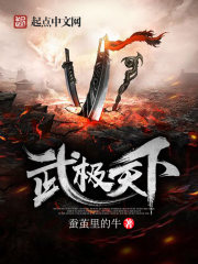 武极天下新笔趣阁无弹窗